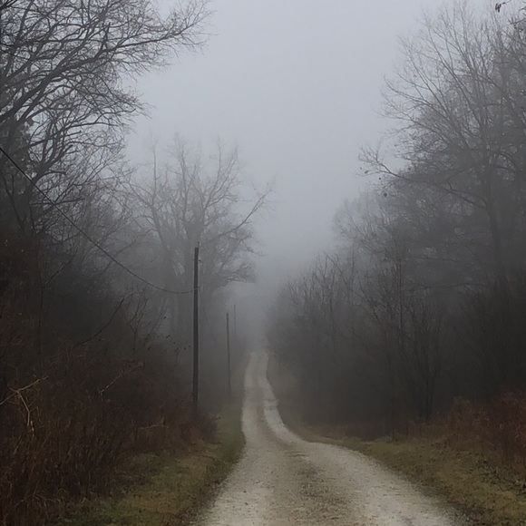 Vampxyz - Picture 2 of 14